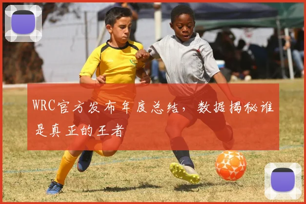 WRC官方发布年度总结,数据揭秘谁是真正的王者