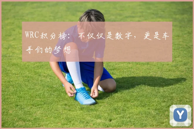 WRC积分榜：不仅仅是数字，更是车手们的梦想